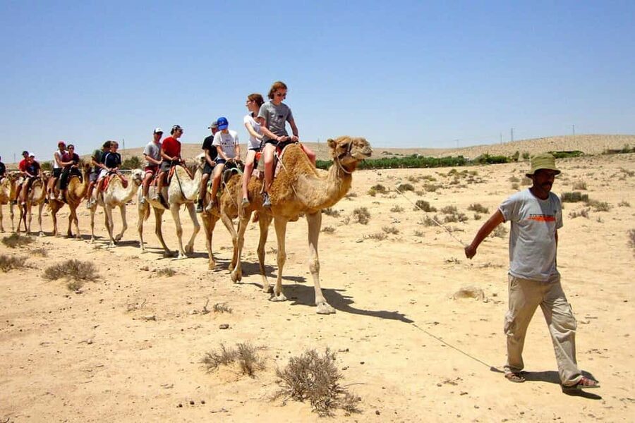 Agadir/Taghazout: Camel Rides with Tea Drink and Transfers - Mint Tea and Biscuits: The Calm Ending You Can Actually Feel