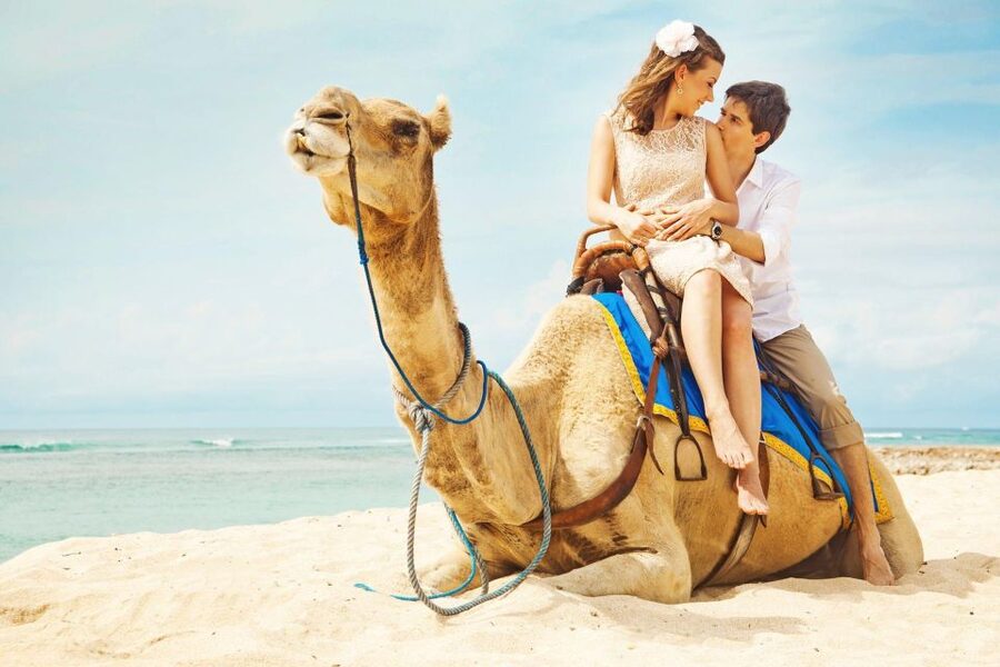 Agadir/Taghazout: Camel Rides with Tea Drink and Transfers - Who Should Book This Tour (and Who Should Skip It)