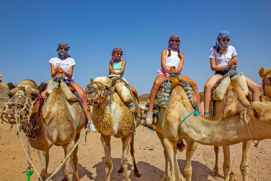 Agadir/Taghazout/Port: Camel Ride Tea & BBQ Option - Key things I’d circle before you go