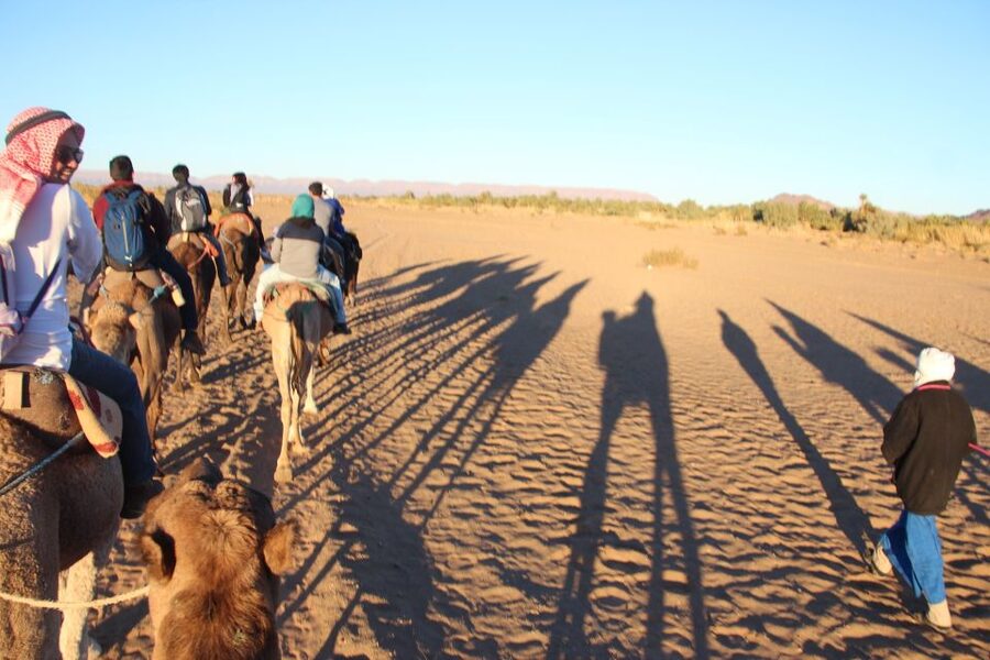 Agadir/Taghazout/Port: Camel Ride Tea & BBQ Option - The Oued Sous flamingo moment: timing and tides are everything