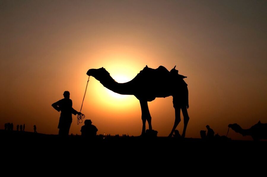 Agadir/Taghazout/Port: Camel Ride Tea & BBQ Option - Photos and the 50 dirhams offer: how to handle it smoothly