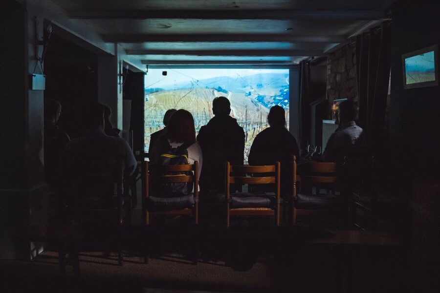 Alsatian Immersive Wine Tour, Wine Tasting & wine/tea time - Who Should Book This Tour (and Who Might Skip It)