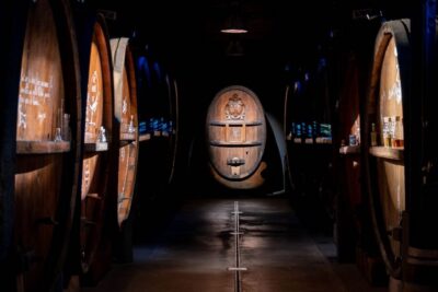 Alsatian Immersive Wine Tour, Wine Tasting & wine/tea time - The 180° Barrel Cinema: The Experience’s Real Calling Card