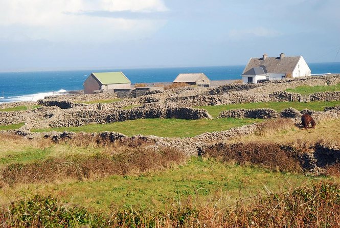 Aran Islands Bike Tour with Tea and Scones from Galway - Key highlights at a glance
