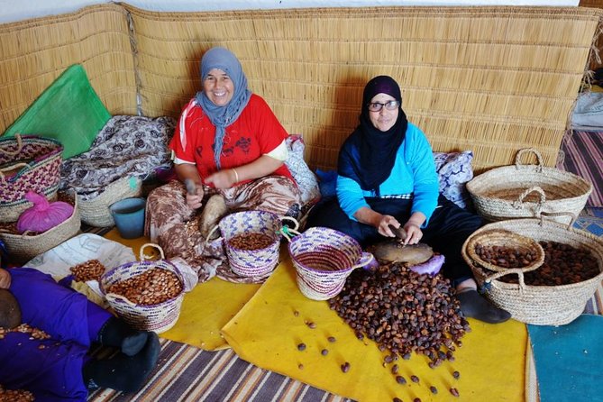 Argan Forest, tea time at a Berbers family & Visit of an Argan cooperative. - Key highlights worth knowing