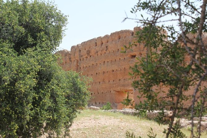Argan Forest, tea time at a Berbers family & Visit of an Argan cooperative. - Who This Tour Suits Best (and Who Might Want Something Different)