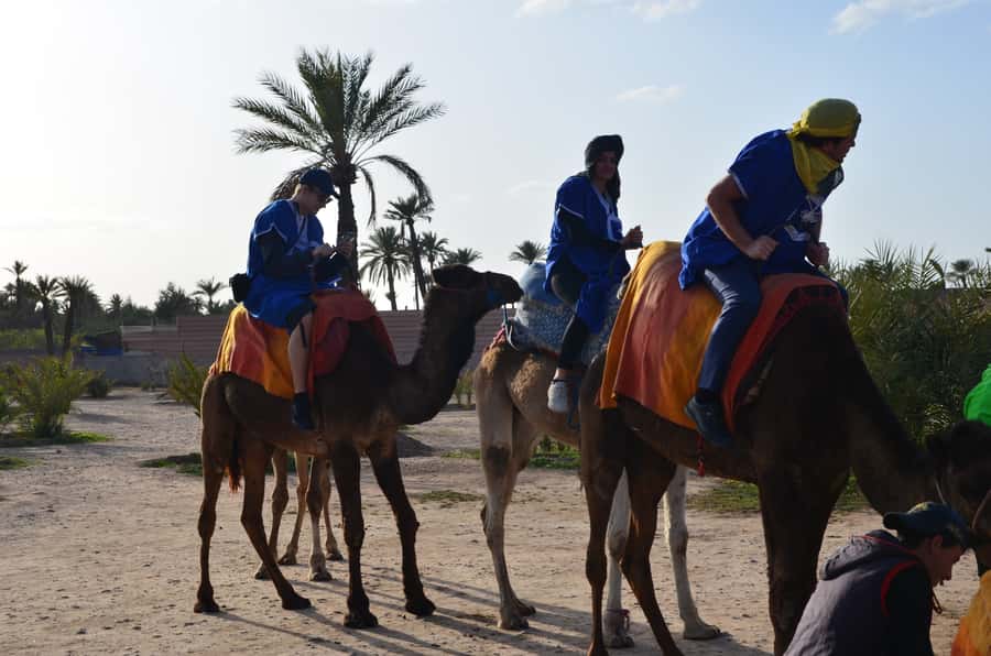 Around Marrakech: Camel Ride in Palm Groves including Tea - Camel Ride + Tea in Palmeraie: A Tight Plan That Still Feels Worth It