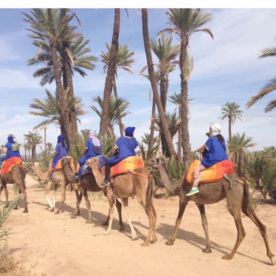 Around Marrakech: Camel Ride in Palm Groves including Tea - The Hour-Long Camel Ride: Palmeraie Views Plus Village-Walk Energy
