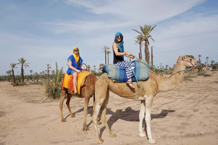 Around Marrakech: Camel Ride in Palm Groves including Tea - Traditional Moroccan Mint Tea: The Reset Button After You Get Off