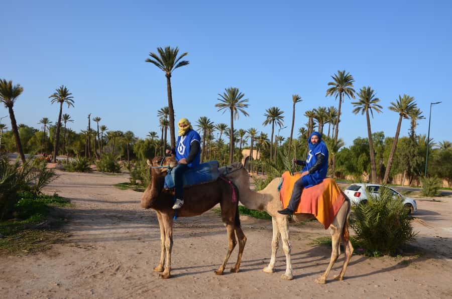 Around Marrakech: Camel Ride in Palm Groves including Tea - Optional Quad Bike: Add 2 Hours of Adrenaline (If You Want It)