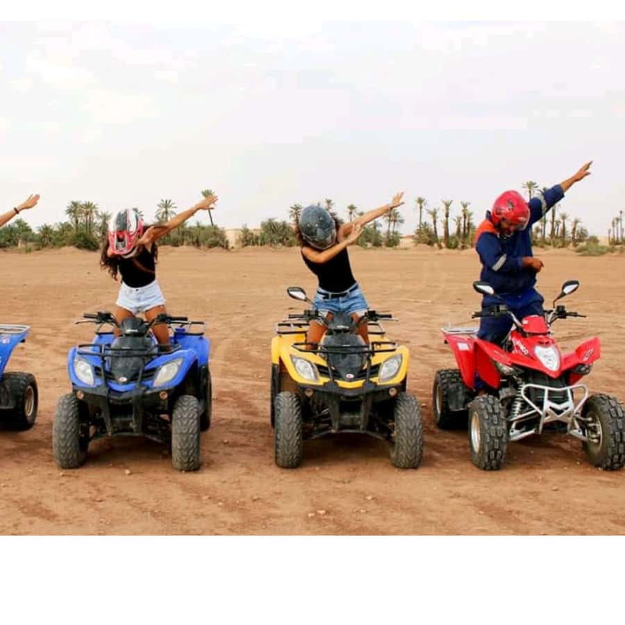 Around Marrakech: Camel Ride in Palm Groves including Tea - Getting From Your Riad or Hotel to the Camel Spot Without Stress