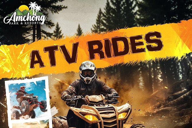 ATV RIDE at Amchong Tea Estate - Stop 1: Amchong Tea Estate and what to look for