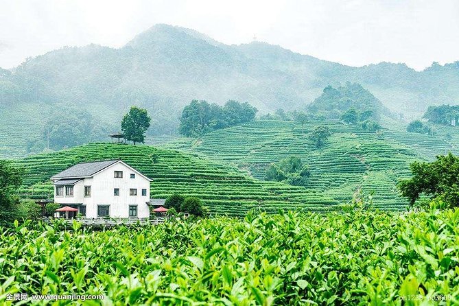 Authentic Hangzhou Longjing Tea Culture Experience Tour - Stop 1 at Longjingshan: tea picking, roasting steps, and tasting