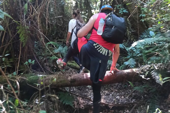 Bandung Tour Volcano, Hotsprings, Mud, Tea, Lunch all Included - Patenggang Lake: lunch with a view and time to reset