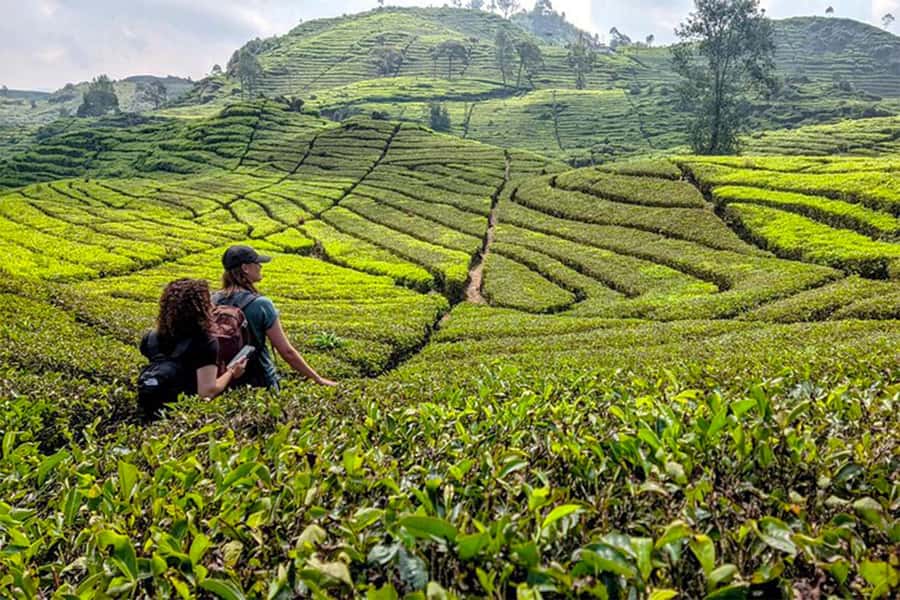Bandung: White Crater, Scenic Tea Plantations & Hot Spring - Situ Gunung suspension bridge: the longest-span moment