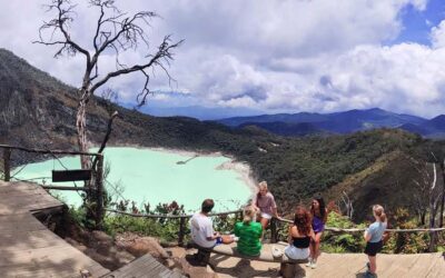 Bandung: White Crater, Scenic Tea Plantations & Hot Spring - Tea plantations and highland air: the pace you’ll want after volcanoes