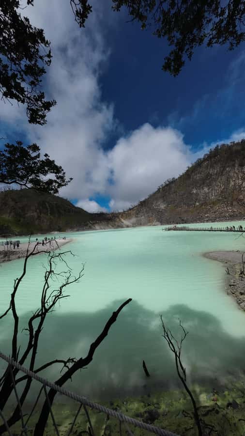 Bandung : White Crater, Tea Plantation Tour Guide Bandung - Key highlights to know before you go