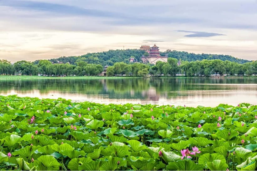 Beijing: Chinese Culture Tea Ceremony Reservation Service - The tea leaves choice: your tasting shapes your ceremony
