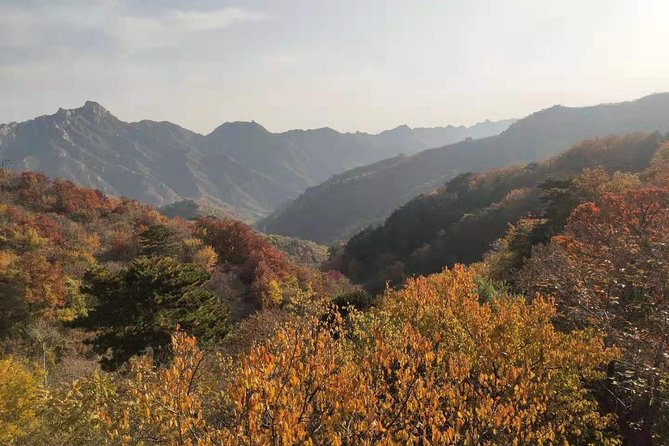 Beijing: Mutianyu Great Wall and Tea House Private Tour - Hotel pickup and flexible timing across a 6–9 hour day
