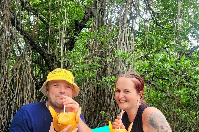 Bentota Village Tour with River Safari & Tea Plantation/Factory - All Inclusive - Price and what makes $120 feel like value (or not)