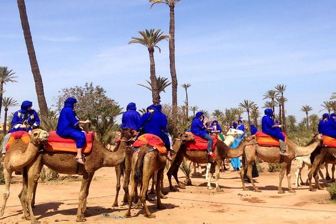 Best Sunset Camel Ride with tea break in the Palm Grove of Marrakech - Key things to know before you go