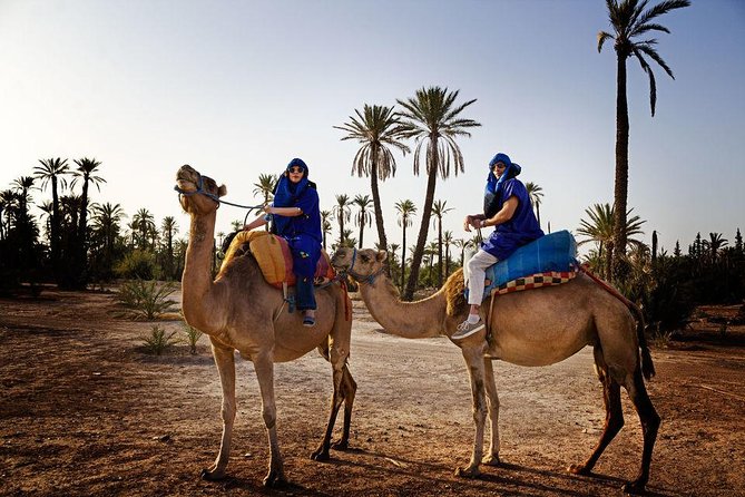 Best Sunset Camel Ride with tea break in the Palm Grove of Marrakech - Camel and tea in the Berber home: what that stop is really for