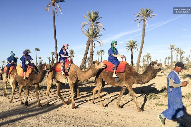 Best Sunset Camel Ride with tea break in the Palm Grove of Marrakech - Nomadic clothing and the sheish scarf: great photos with real usefulness