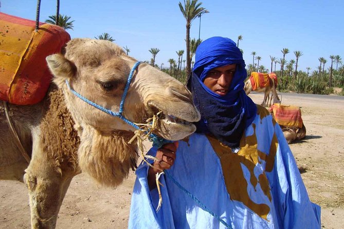 Best Sunset Camel Ride with tea break in the Palm Grove of Marrakech - Should you book this sunset camel ride with tea in Marrakech?