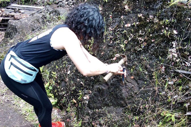 Big Island Jungle Tour with Guava Green Tea - Key things to know before you go