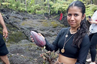Big Island Jungle Tour with Guava Green Tea - Getting there: Jungle King Ave, Fern Forest