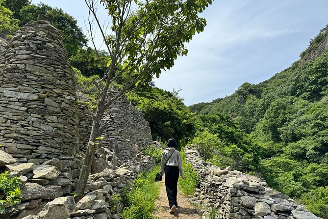 Boseong Tour : Green Tea Field, Mountain & Lake Trail (Private) - Key highlights at a glance