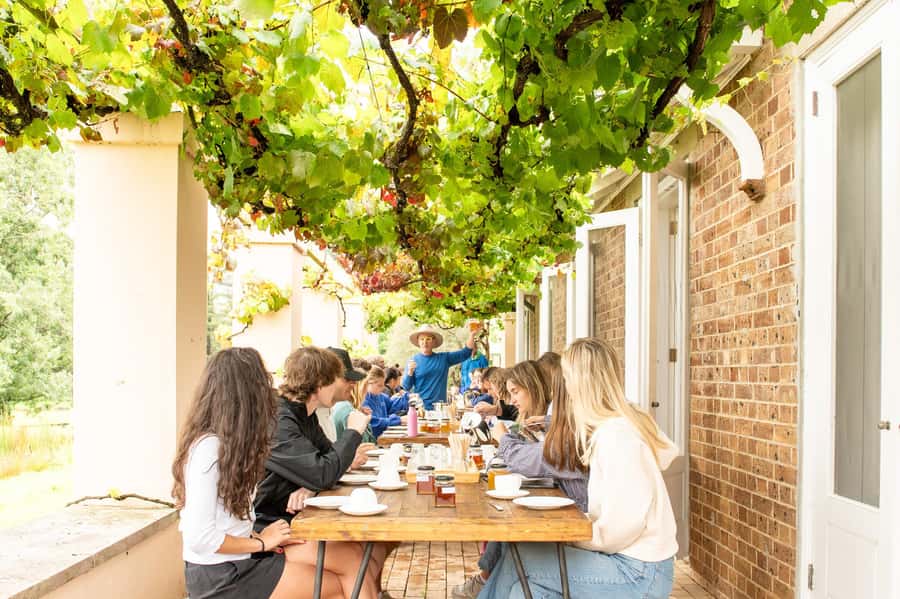 Bowral Honey Farm Tour, Honey Tasting & morning Tea - Key things to look forward to