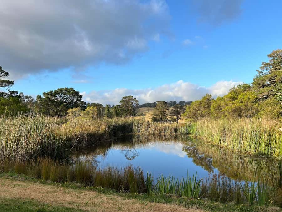 Bowral Honey Farm Tour, Honey Tasting & morning Tea - Bowral Honey Farm at Retford Park: Where Your Tour Experience Starts