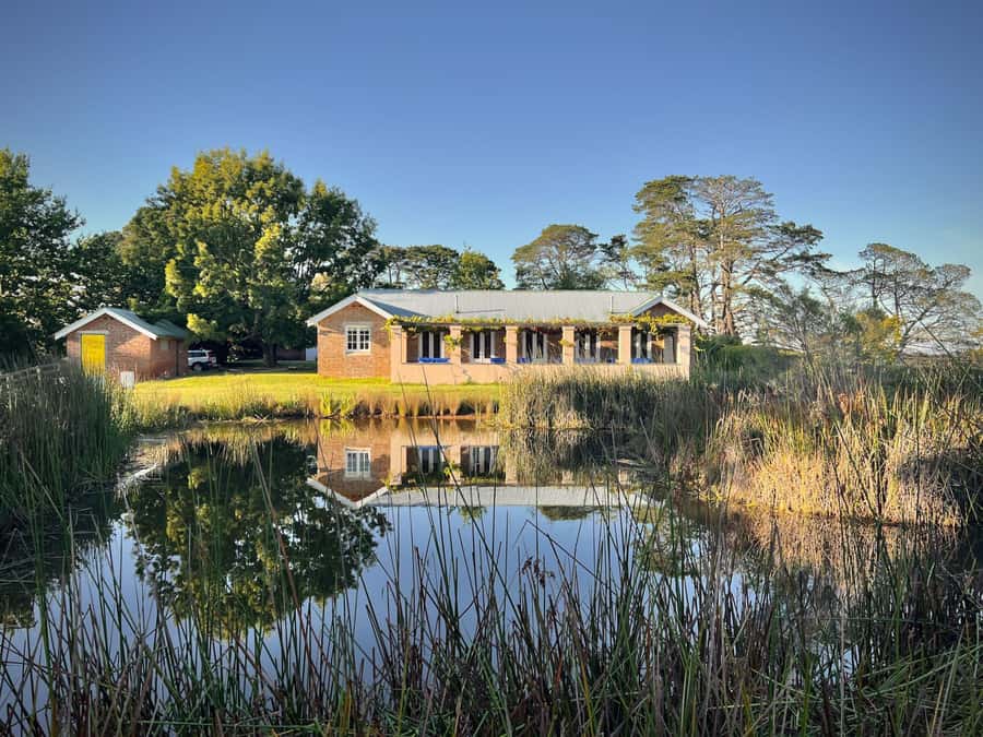 Bowral Honey Farm Tour, Honey Tasting & morning Tea - Beekeeping Workshop: Bee Life, Colony Basics, and Why the Stories Matter