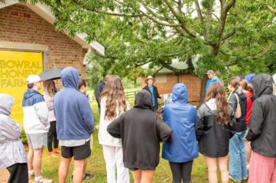 Bowral Honey Farm Tour, Honey Tasting & morning Tea - Safety First: Veil-Wearing Hive Time and What You Actually See