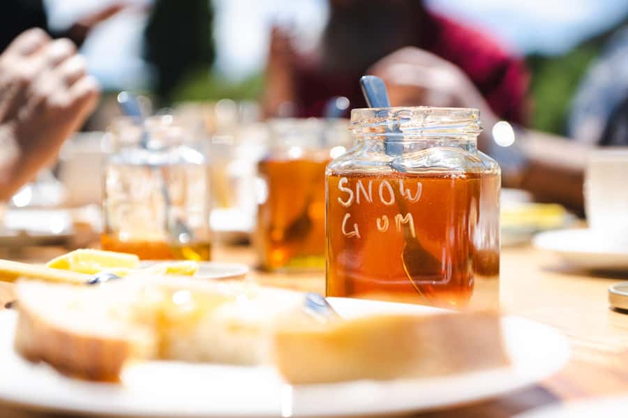 Bowral Honey Farm Tour, Honey Tasting & morning Tea - Flow Hive Demonstration: A Modern Hive View in Real Life