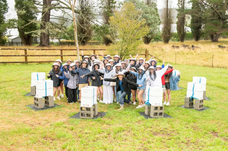 Bowral Honey Farm Tour, Honey Tasting & morning Tea - Guided Honey Tasting on the Terrace with Leaf Tea and Sour Dough
