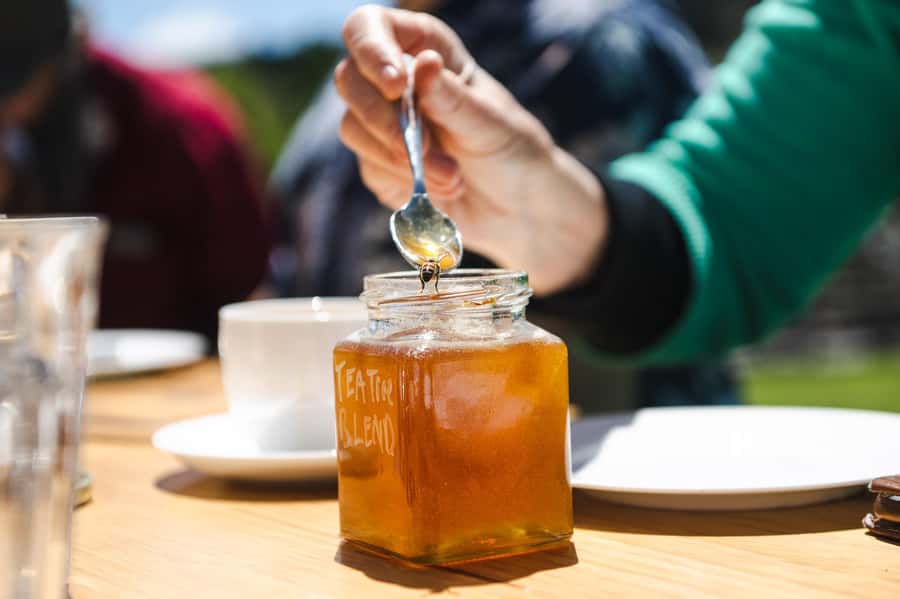 Bowral Honey Farm Tour, Honey Tasting & morning Tea - Who Should Book This Bowral Honey Farm Tour—and Who Might Skip It