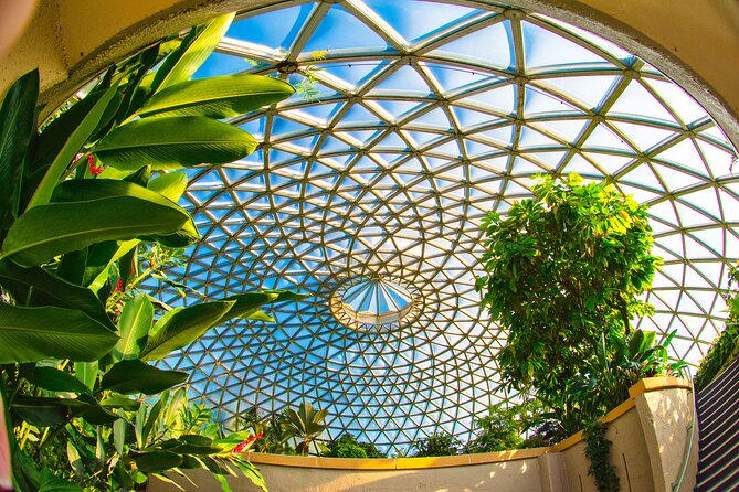 Brisbane Bus Tour: Max 10 people | Half Day | Morning tea inc. - A half-day Brisbane loop that’s built for orientation