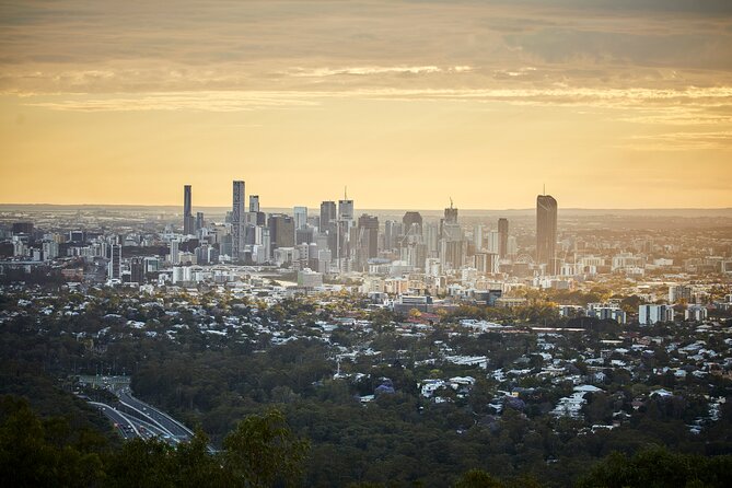 Brisbane Bus Tour: Max 10 people | Half Day | Morning tea inc. - The CBD briefing: seeing Brisbane’s past and future from the bus