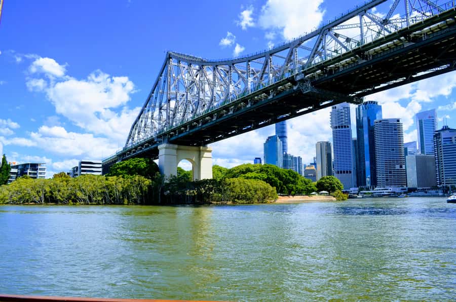 Brisbane: Morning Sightseeing Cruise: 10:30am-12pm (90min) - Key things I’d clock before you go