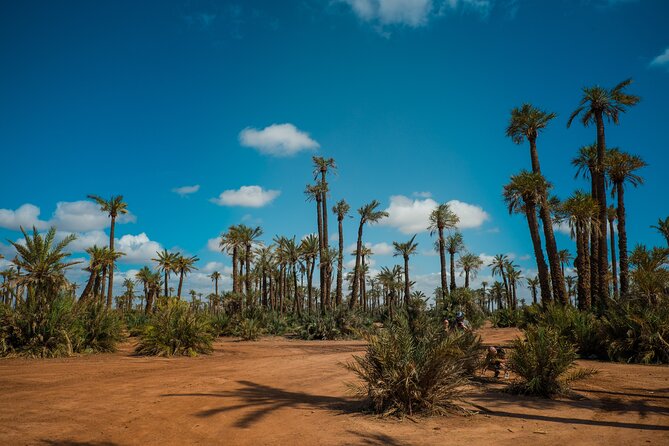 Camel Ride and Quad Biking with fresh mint Tea - Quad biking setup: helmets, goggles, and desert-track riding