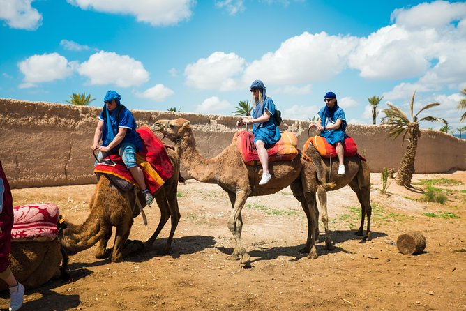 Camel Ride and Quad Biking with fresh mint Tea - Hotel pickup, the Palmeraie palm grove, and your camel ride setup