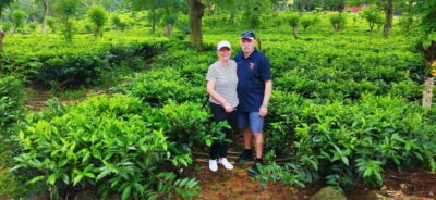 Ceylon Tea Experience from Colombo Port Passenger Terminal - Rayigam Tea Factory: what the tea visit is like