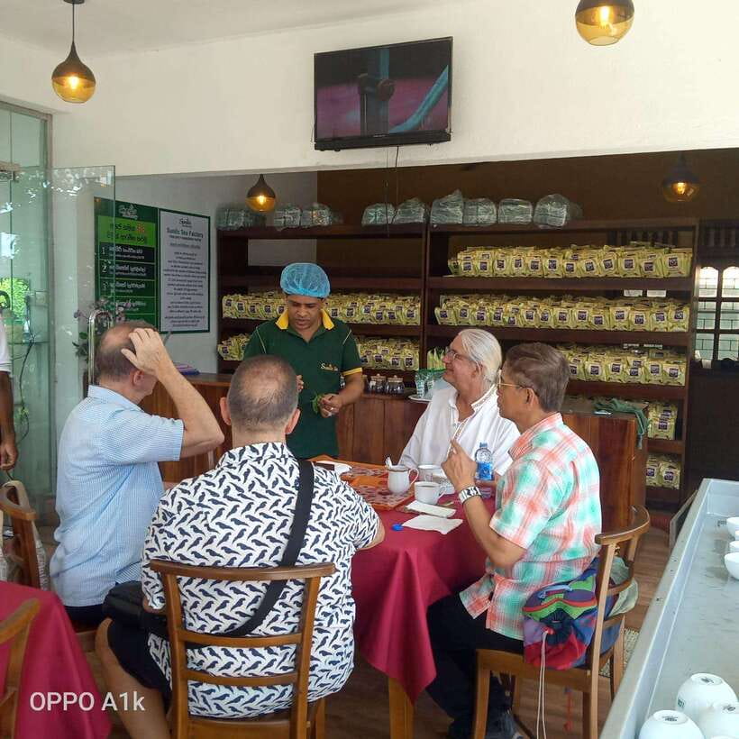 Ceylon Tea Experience from Colombo Port Passenger Terminal - Tips that keep this excursion stress-free (especially from the port)