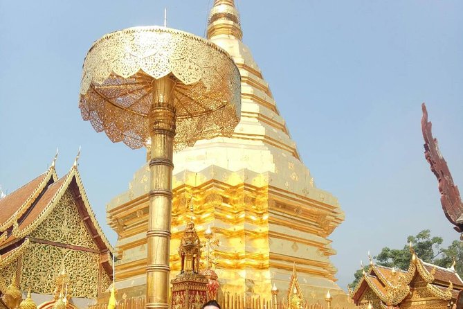 Chiang Mai Private Tour with Tea Plantation, Karen Village, Doi Suthep - How This 8-Hour Private Day Fits Together