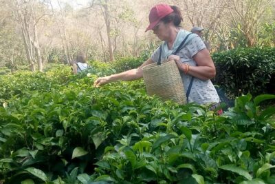 Chiang Mai Private Tour with Tea Plantation, Karen Village, Doi Suthep - Karen Long Neck Village: A Cultural Visit With Real Ethical Questions