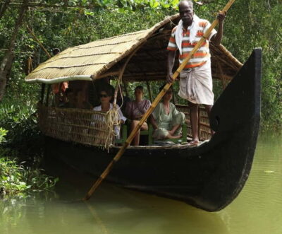 Cochin: Full-day Backwater Tour with Lunch and Evening Tea - Motor-Free Backwater Cruise: Quiet Canals, Real Village Edges