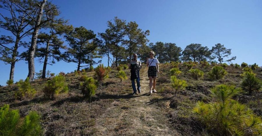 Coffee - Wine - Tea Da Lat's Agricultural Treasures Tour - Key highlights worth your attention