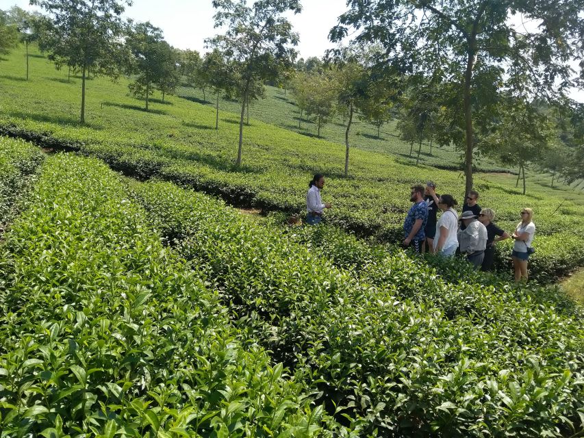 Coffee - Wine - Tea Da Lat's Agricultural Treasures Tour - Price and value: paying for a full day, not just checkboxes